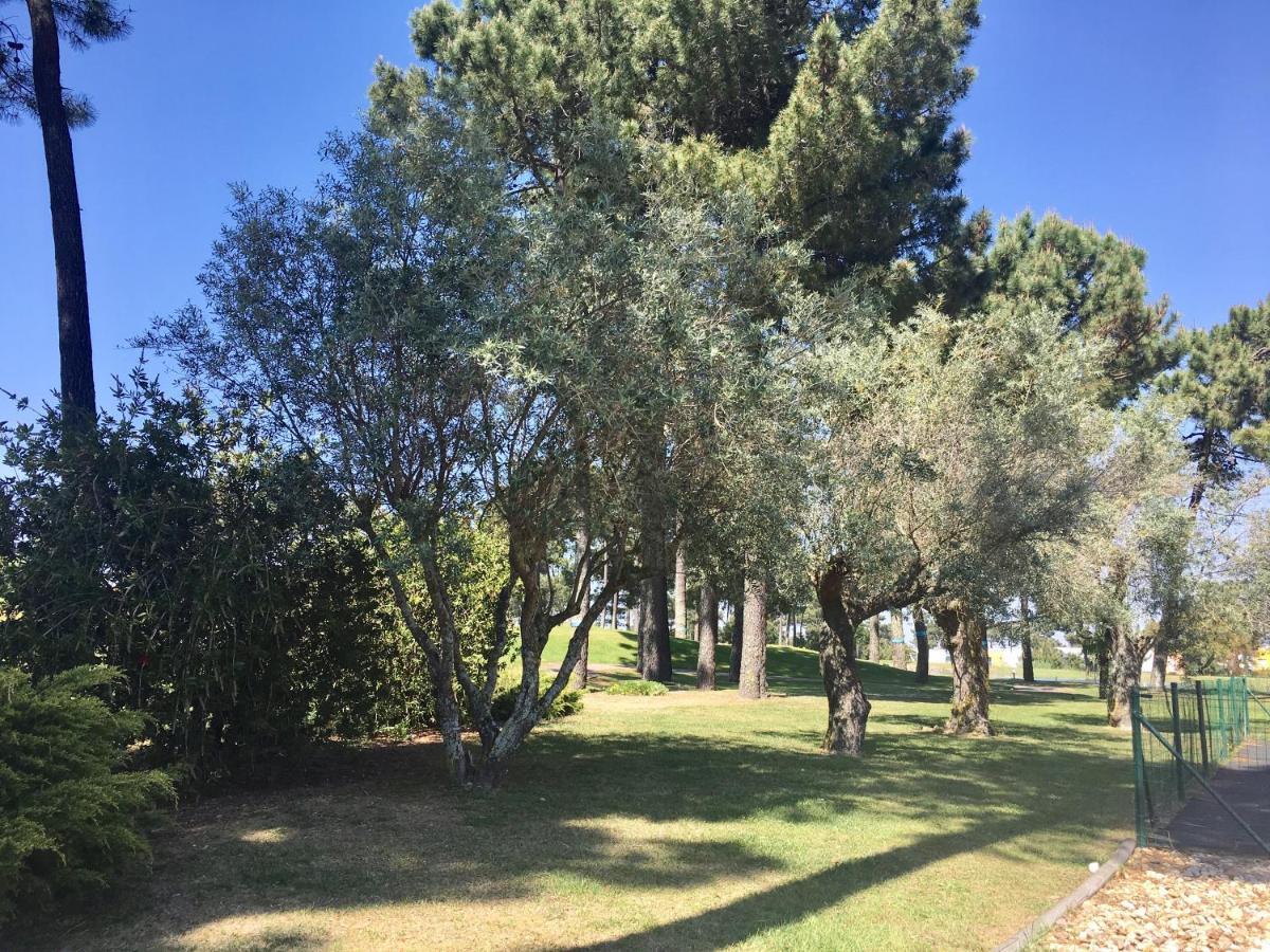 Sr Palmela Village Studios II كينتا دو أنجو المظهر الخارجي الصورة